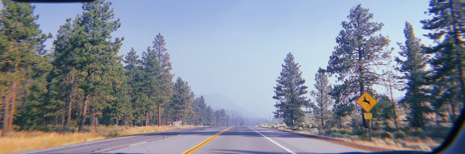 ChelaLovee's profile banner image