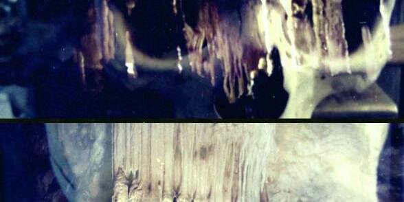 MaterSuspiriaVision banner