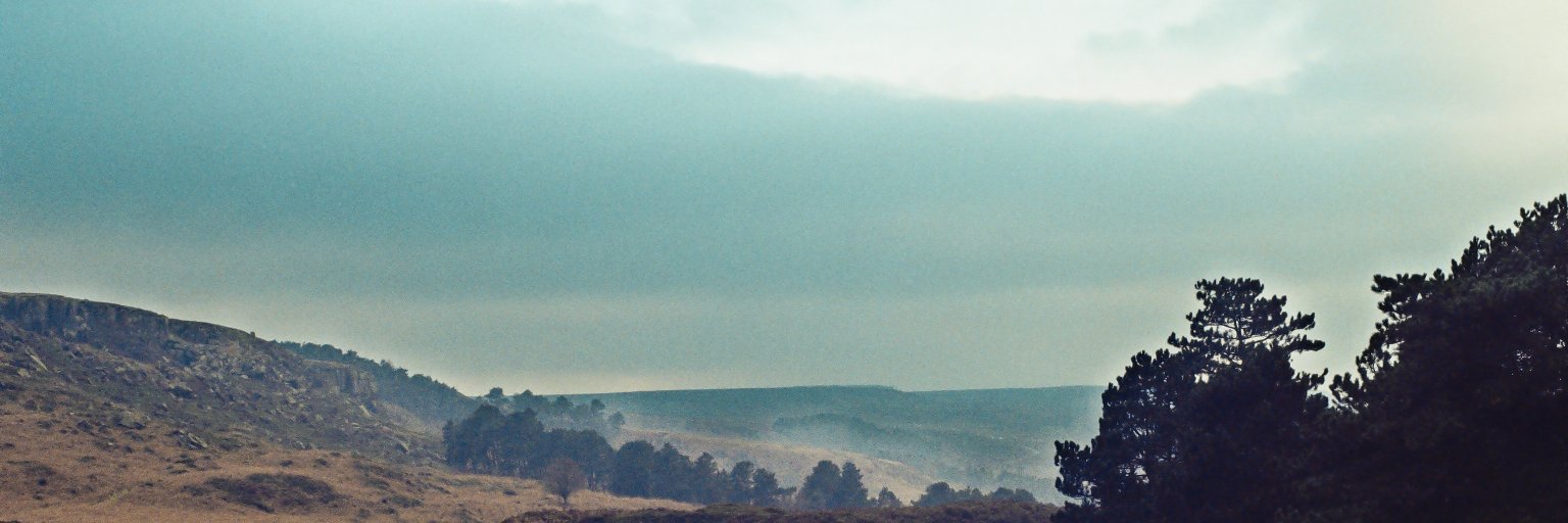 elseskogan's profile banner image