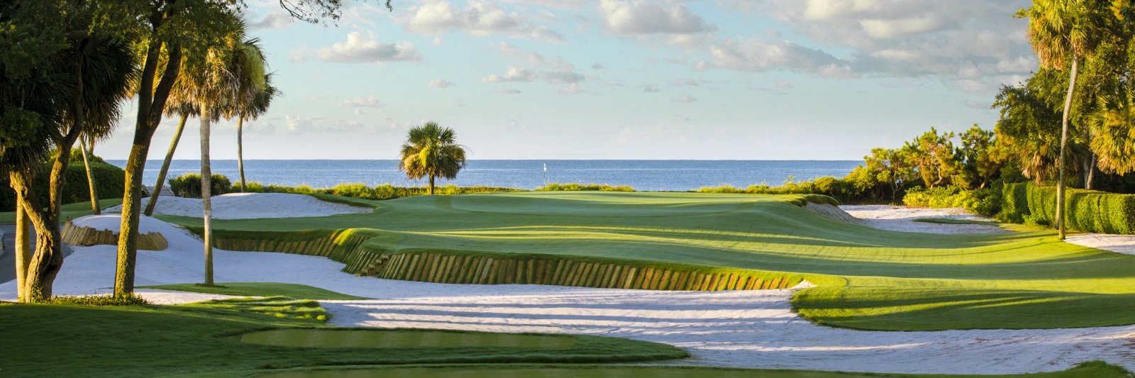 crazy4golf's profile banner image