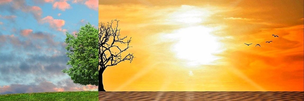 MUSER® PRESS banner