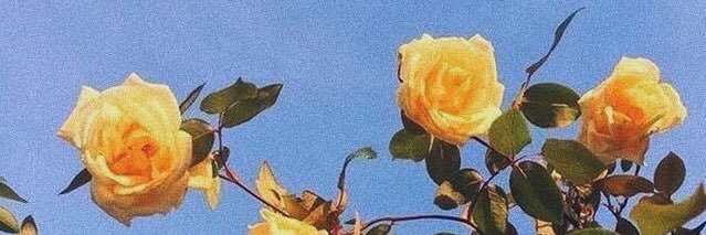 Jeffreyends's profile banner image