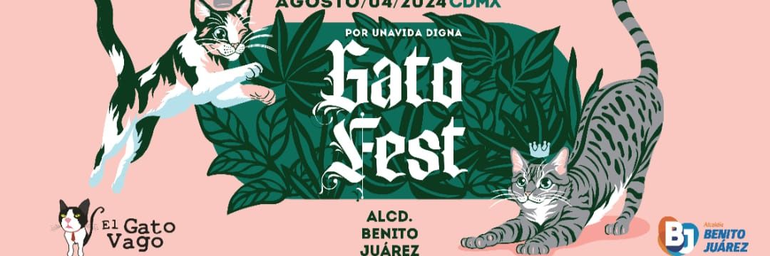 GatoFest banner