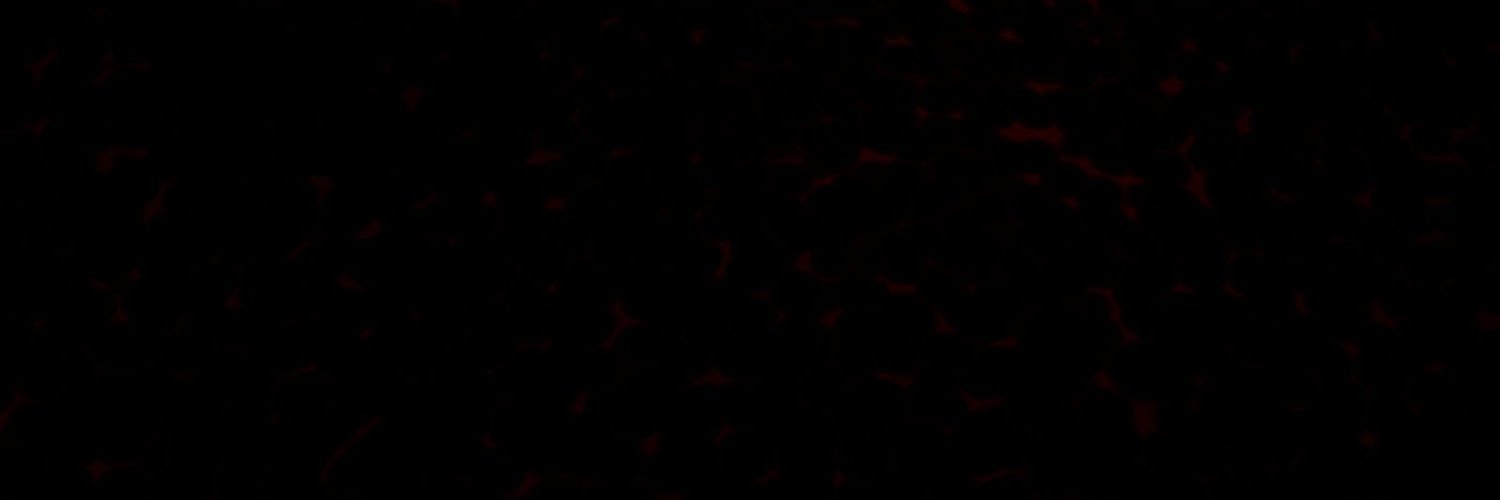HurrayForFilm's profile banner image