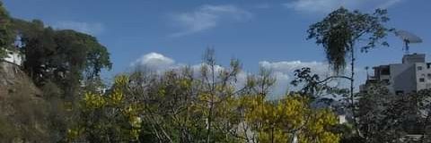 CuentosAMi's profile banner image