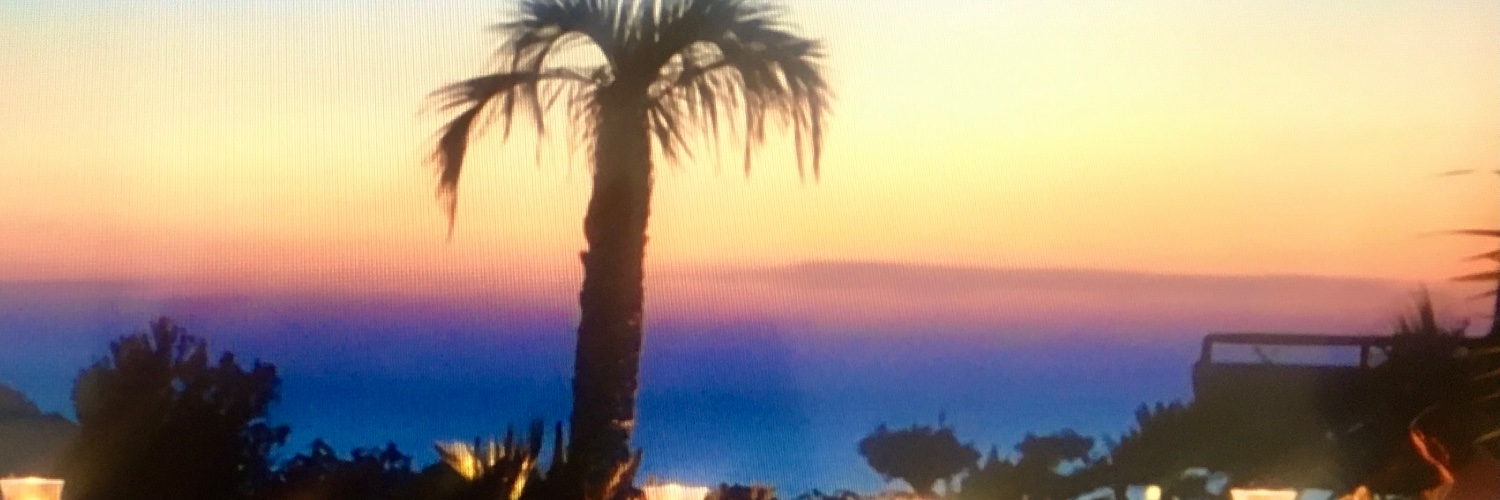 simesluis's profile banner image