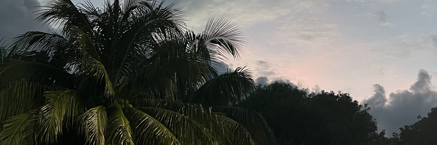 prodjcorrea's profile banner image