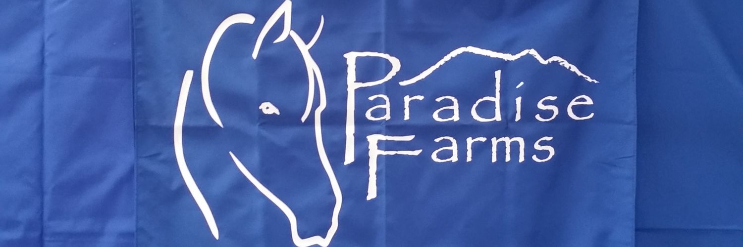 EquineTrainr's profile banner image
