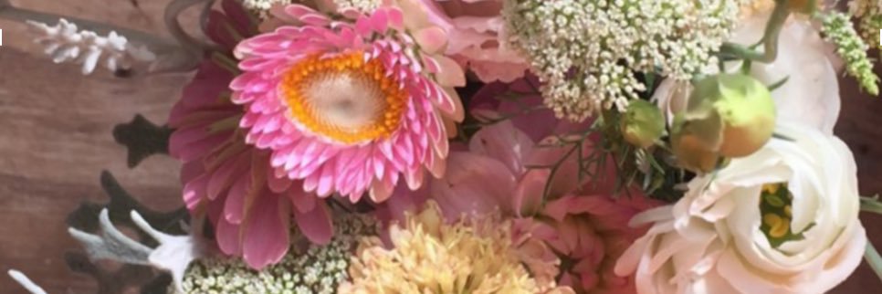 DLDBI's profile banner image