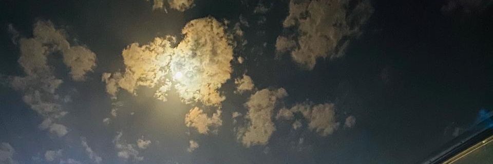 rayyan14290's profile banner image
