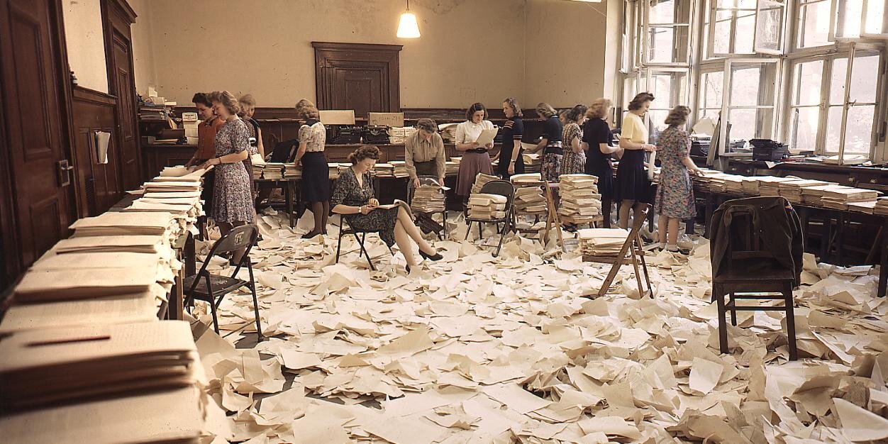 Elizabeth Borgwardt banner