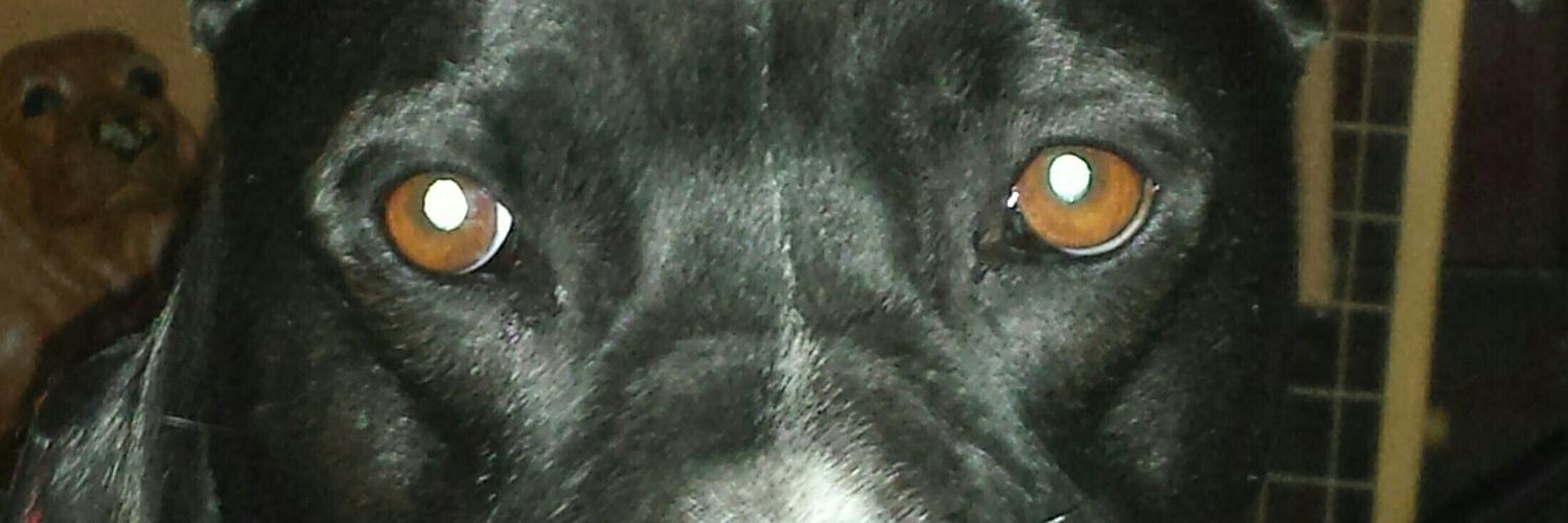 kathy b banner