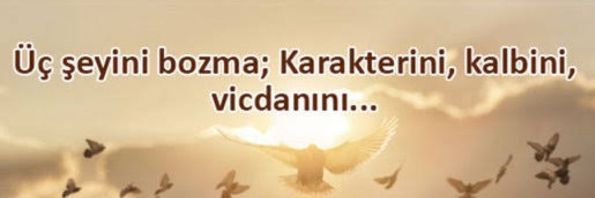 esrabakan82's profile banner image