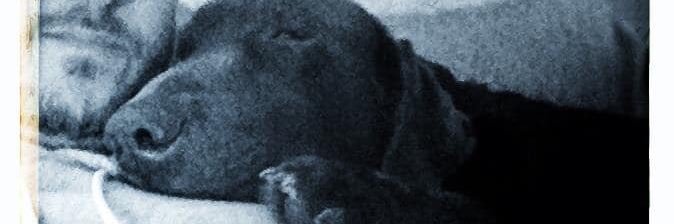 d_raw_s's profile banner image