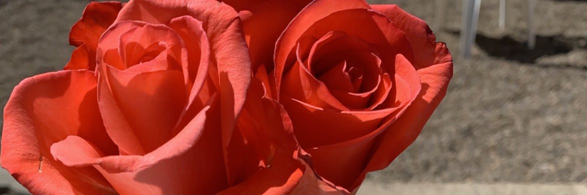 primetime_ruiz's profile banner image