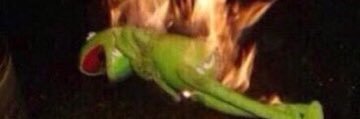 _shernandez23's profile banner image