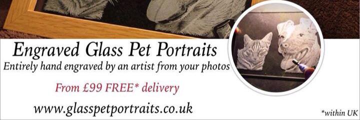 GlassPortraits's profile banner image