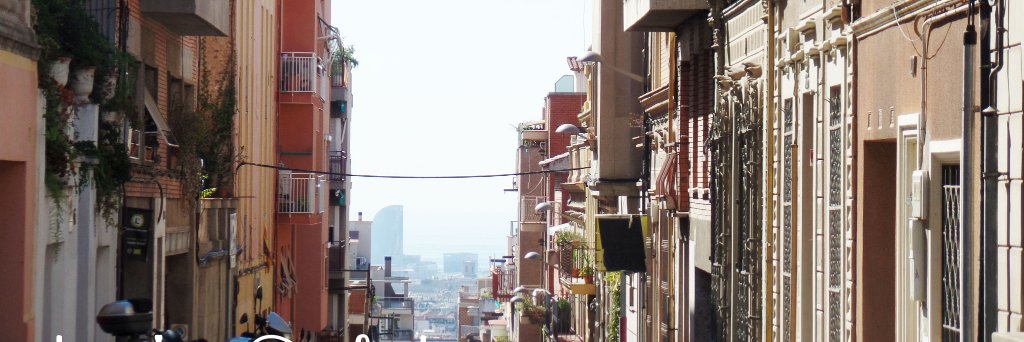 tropicolab's profile banner image