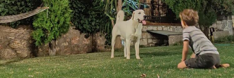 ilker0135's profile banner image