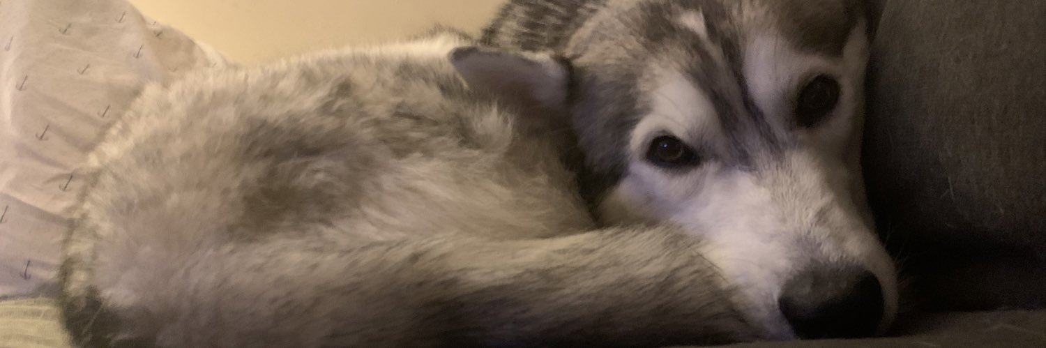 Key_Dawg's profile banner image