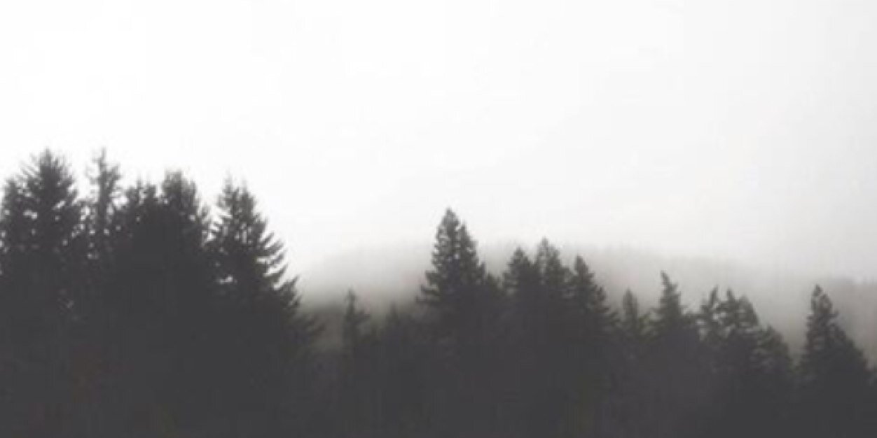 anxixety's profile banner image