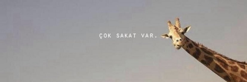 SelinAcr's profile banner image