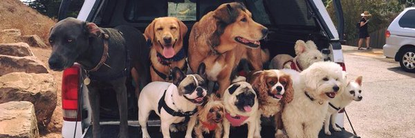 HeyCatRobinson Profile Banner