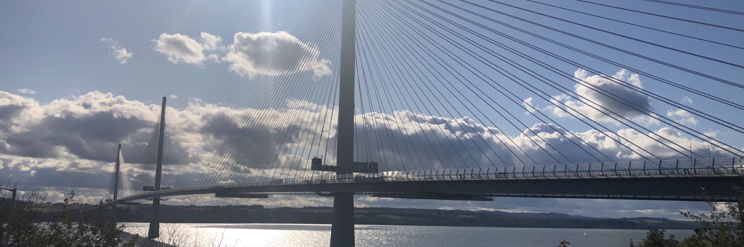 shoulda woulda coulda said banner