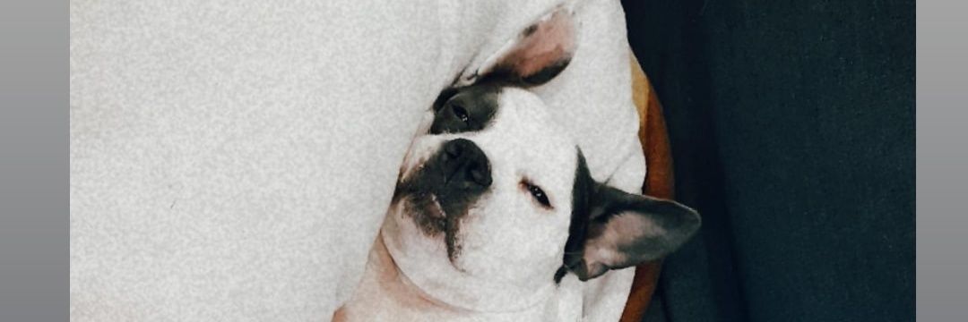 aleeexandraa11's profile banner image