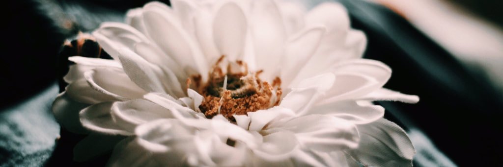 GmSavi's profile banner image