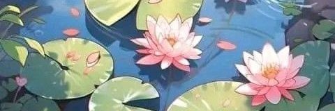 TodorokiMiRey's profile banner image