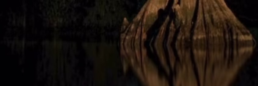 CandiceEstridge's profile banner image