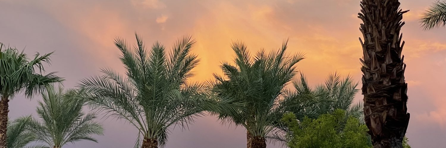 AllexisEnos's profile banner image