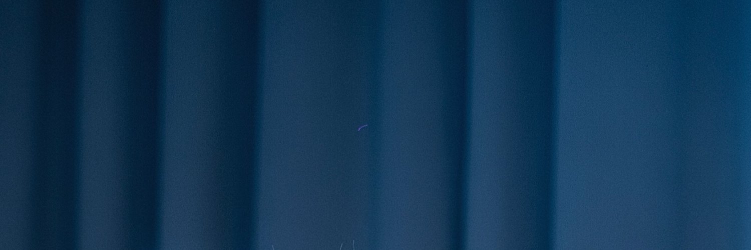 💅 arrya 💅 banner