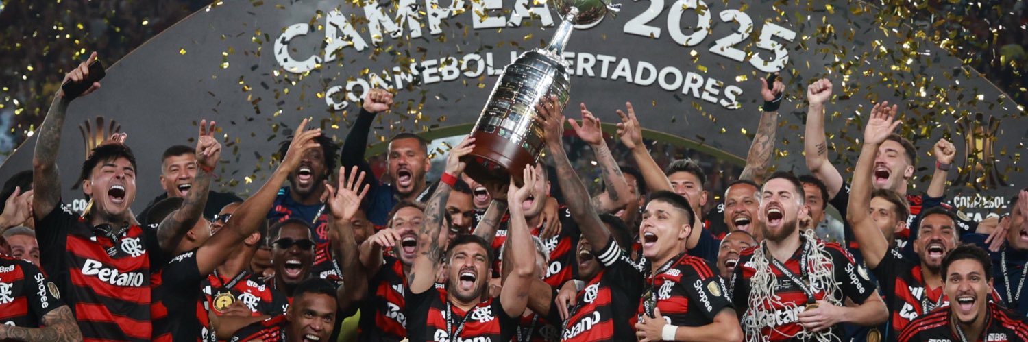 Lari ᶜʳᶠ banner