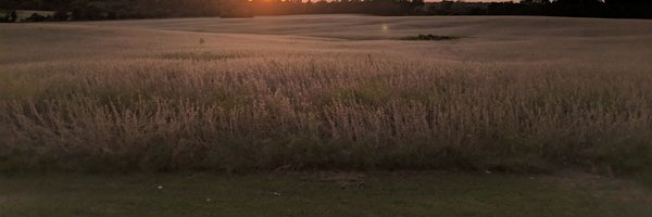 garrlker Profile Banner