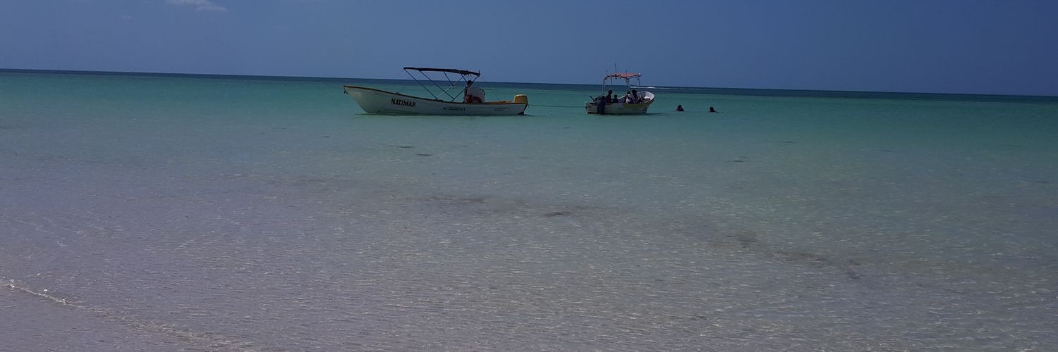 arieldima's profile banner image