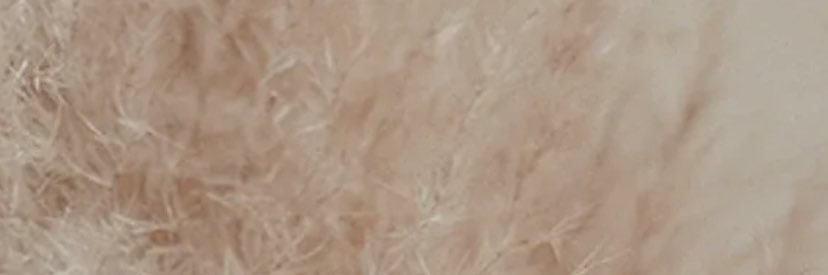 holly_clover's profile banner image