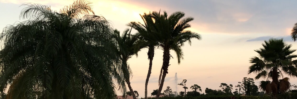 SydneyBalderas's profile banner image