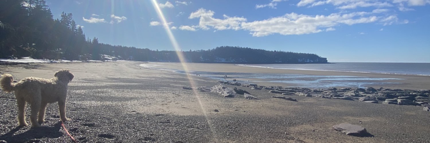 duncanmurray8's profile banner image