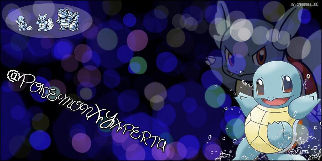 PokemonXYxperta's profile banner image