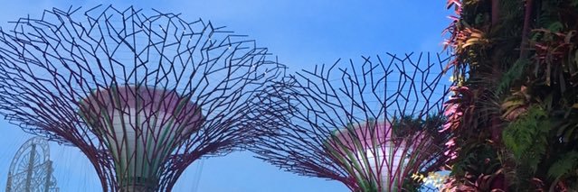 1970Flower's profile banner image