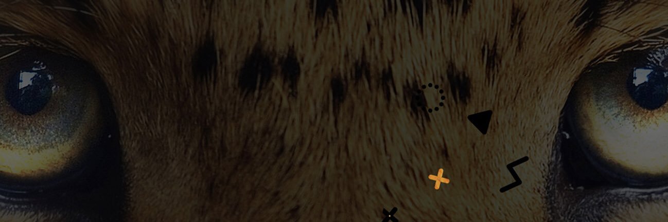 Dimasdrjd's profile banner image