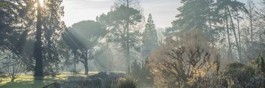 Reuben Thomas banner