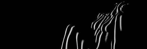 martaam36's profile banner image