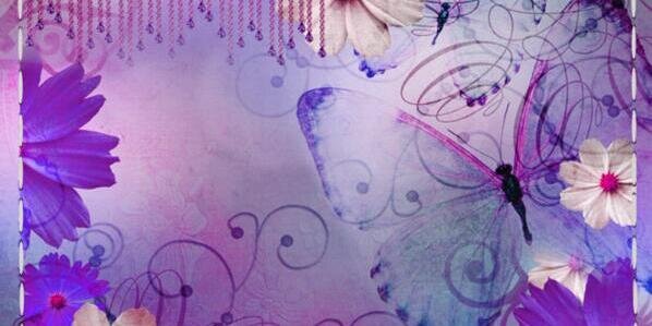 angelicalacca's profile banner image