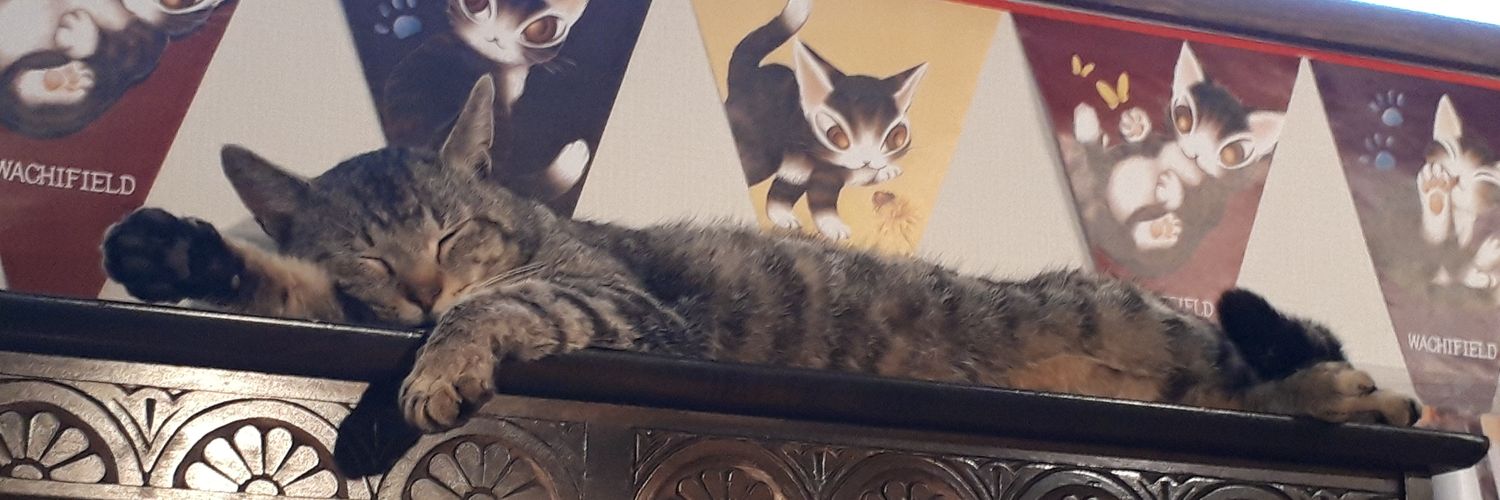 Tama74's profile banner image