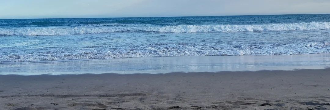 mala_xnat's profile banner image