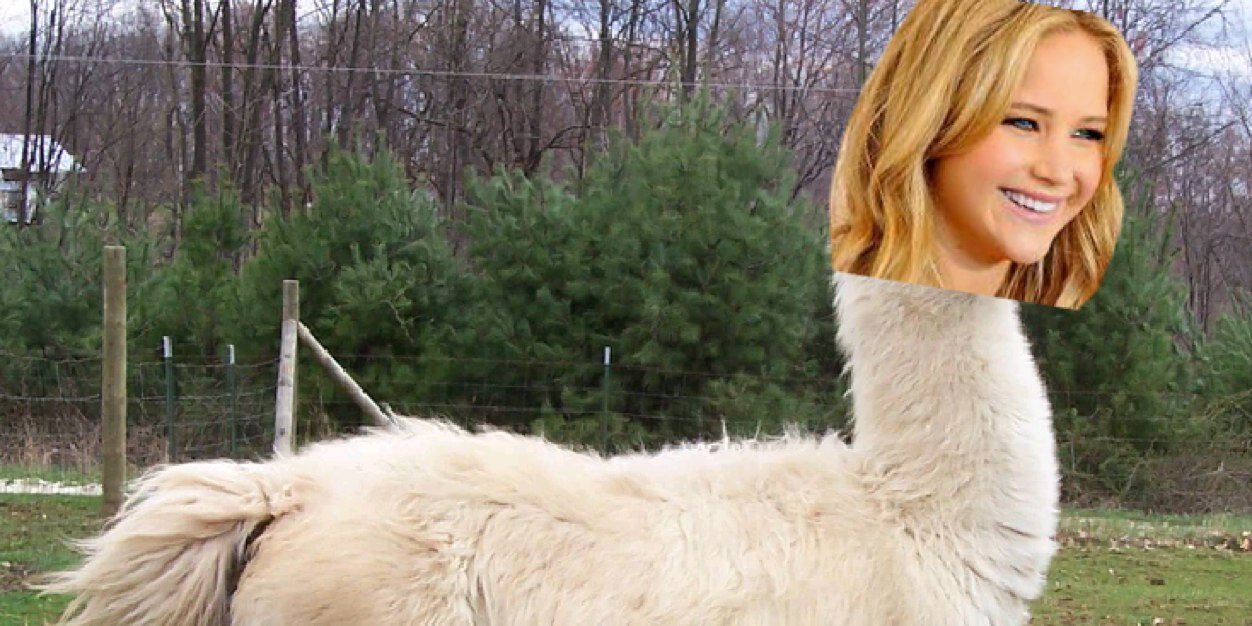 RyanRossWB's profile banner image