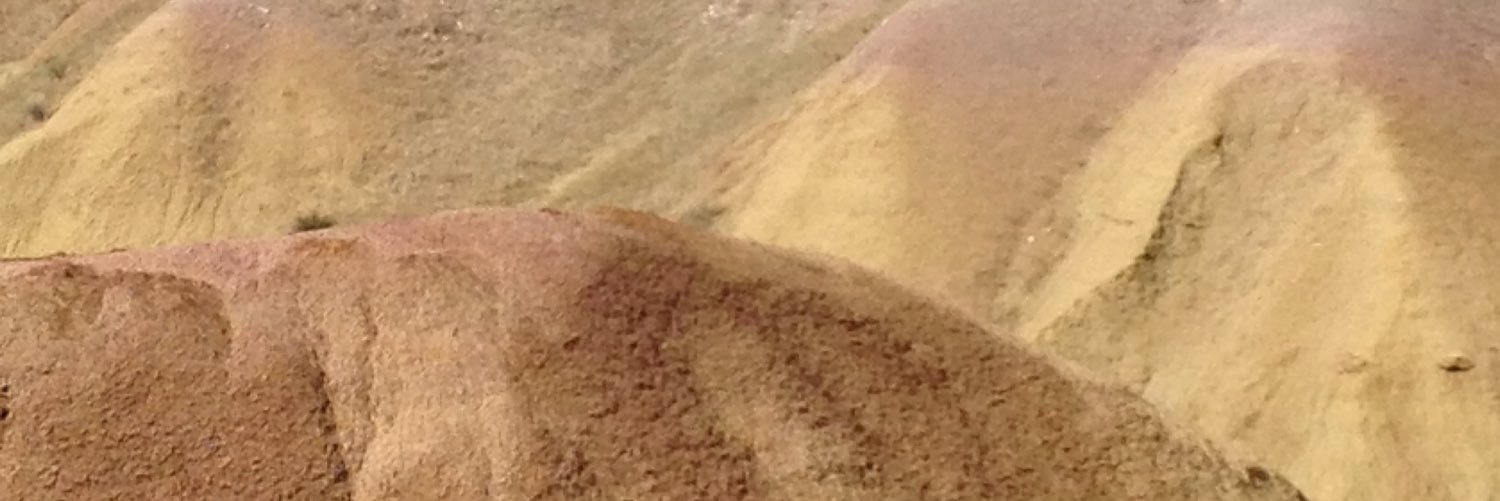 suanne45's profile banner image